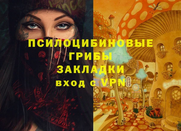 гашик Медвежьегорск