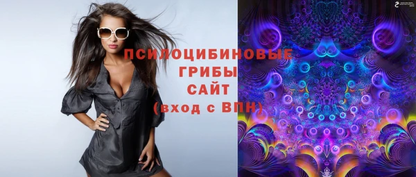 ГАЛЛЮЦИНОГЕННЫЕ ГРИБЫ Медногорск