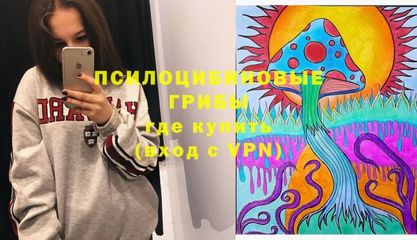 ГАЛЛЮЦИНОГЕННЫЕ ГРИБЫ Медногорск