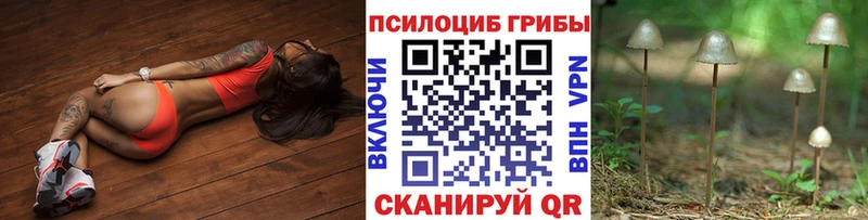 Псилоцибиновые грибы MAGIC MUSHROOMS  закладка  Курлово 